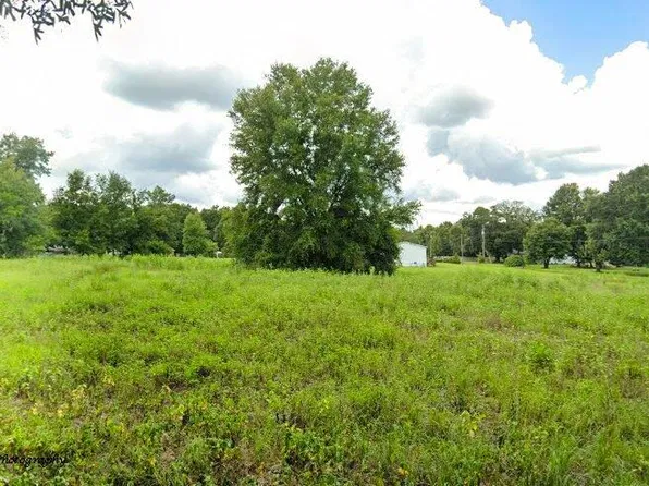 9810 Belle Smith Rd, Thonotosassa, FL 33592