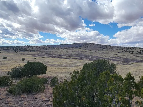 County Road N5337, Concho, AZ 85924