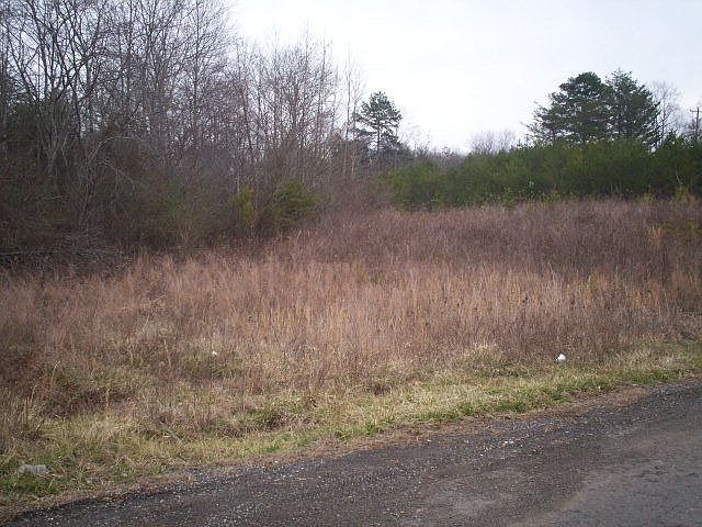 2nd image of 105 Carswell Dr