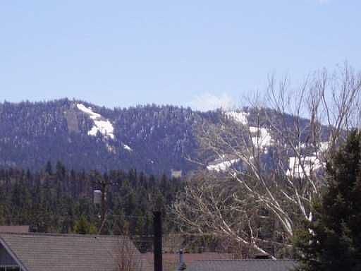 5th image of 304 Tiger Lily Dr