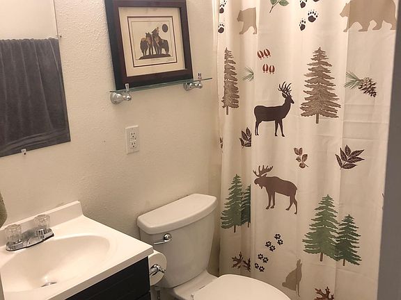Main floor bathroom