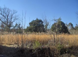 197 Raynor Ln, Round O, SC 29474