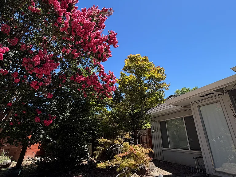 8194 Caribbean Way — Photo 2