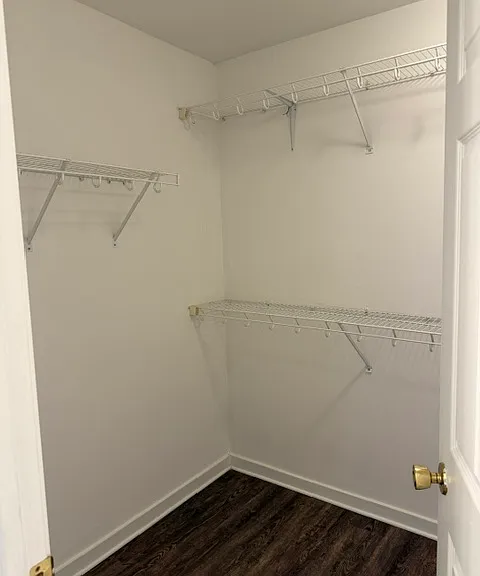 Primary closet