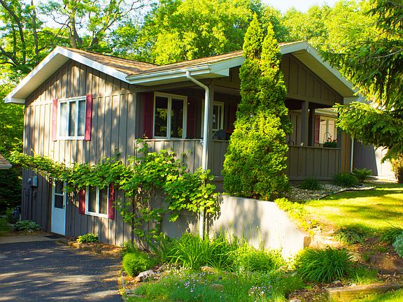 Productive Grape Vines