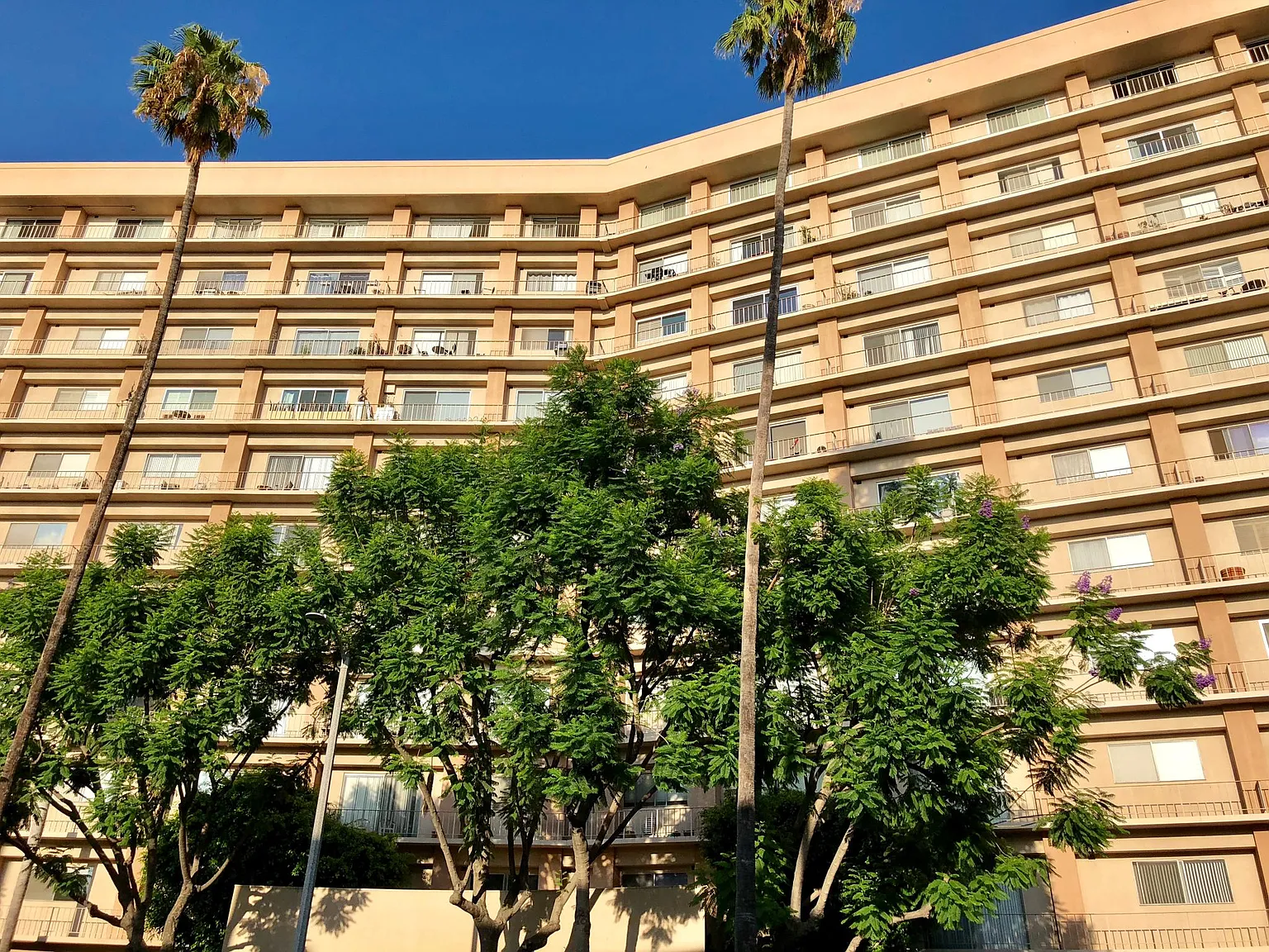 1 bed, 1.5 bath, 840 sqft, $3,300 — Photo 3