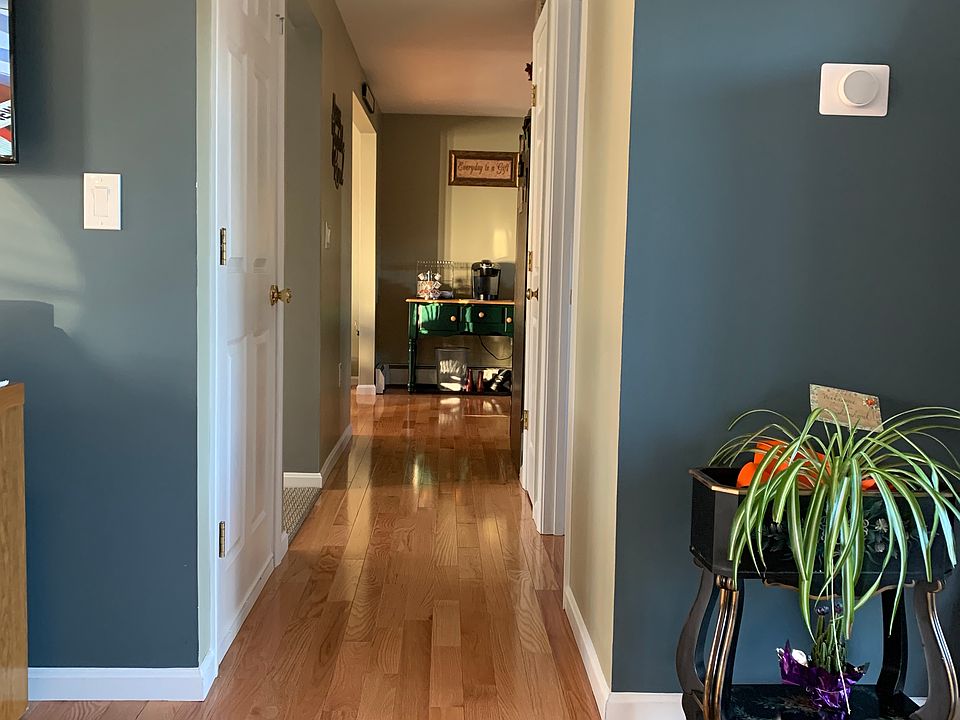 Downstairs hallway