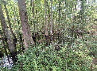 2311 Brandi Rd, Summit, MS 39666