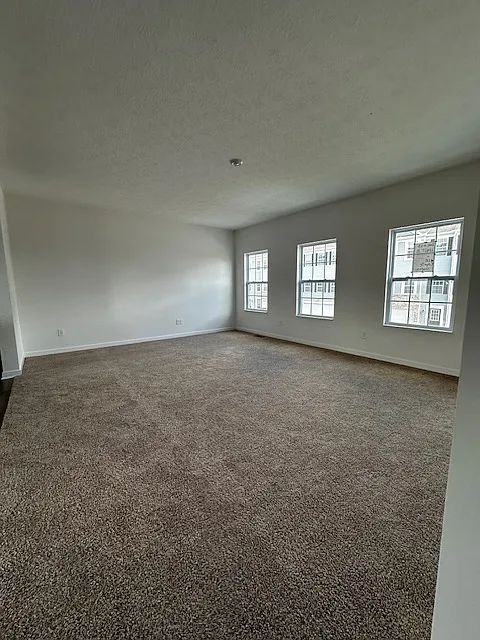 128 Coyote Willow Dr — Photo 4