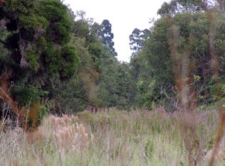 Glenwood Rd, Volcano, HI 96785