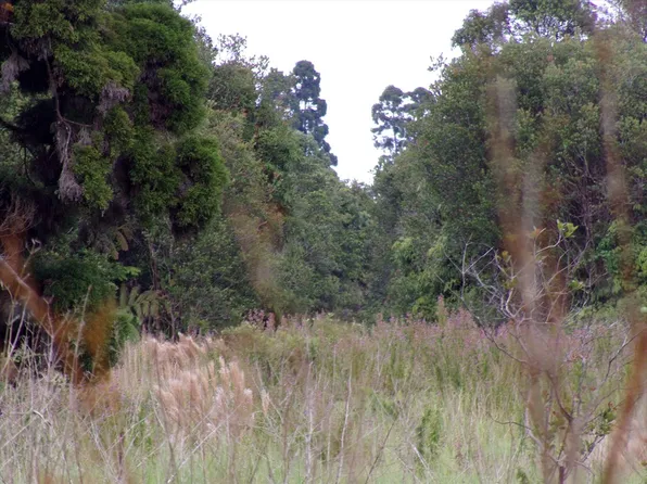Glenwood Rd Lot 98, Volcano, HI 96785