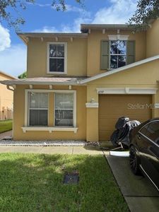 4559 Limerick Dr, Tampa, FL, 33610