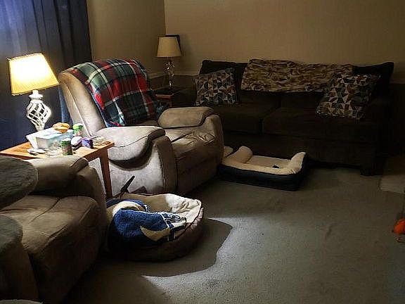 3rd image of 84 Susan Dr