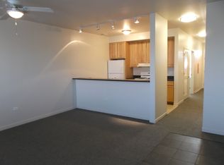 3855 S Langley Ave APT 303, Chicago, IL 60653