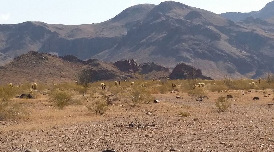 1st image of 91.58 Acres Oatman Highway