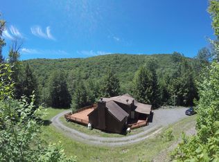 5057 Carcass Brook Rd, East Branch, NY 13756