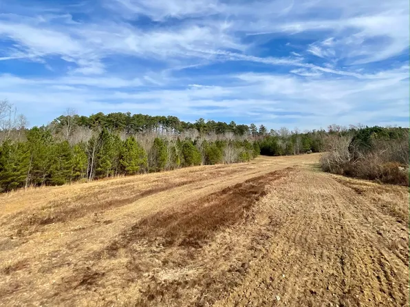 0 County Road 1073, Vinemont, AL 35179