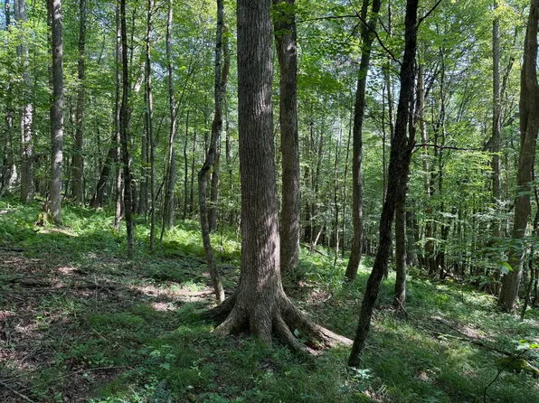 1181 Brown Hill Rd, Youngsville, PA 16371