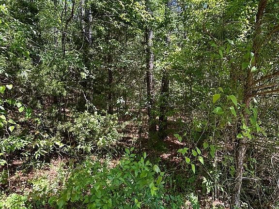 4th image of 0 Stewart Rd