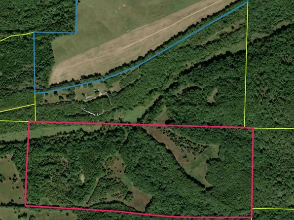 000 Lummis Lane, Wasola, MO 65773