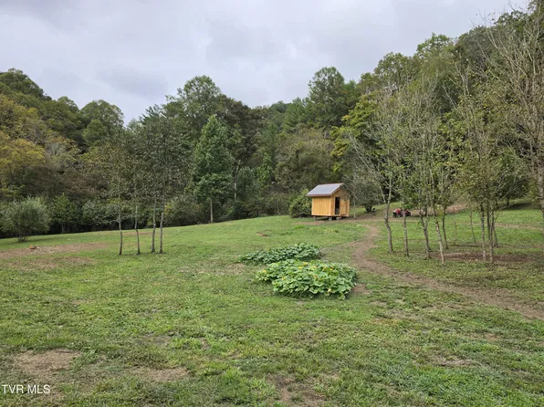 Osborne Ridge Rd, Dungannon, VA 24245