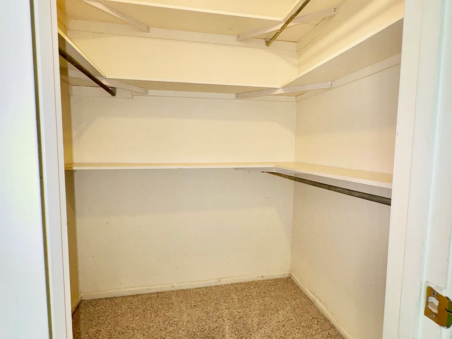 1 bed, 160 sqft, $750 — Photo 3