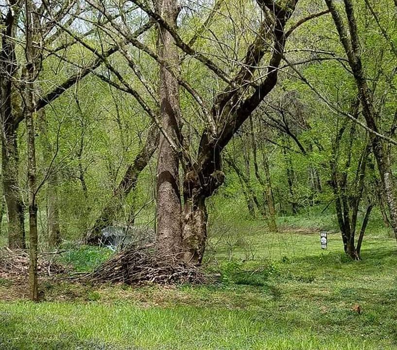 2nd image of Indian Spring Trl