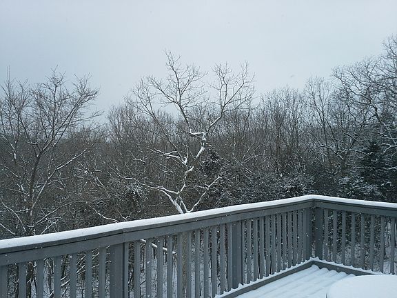 Deck View - SW
