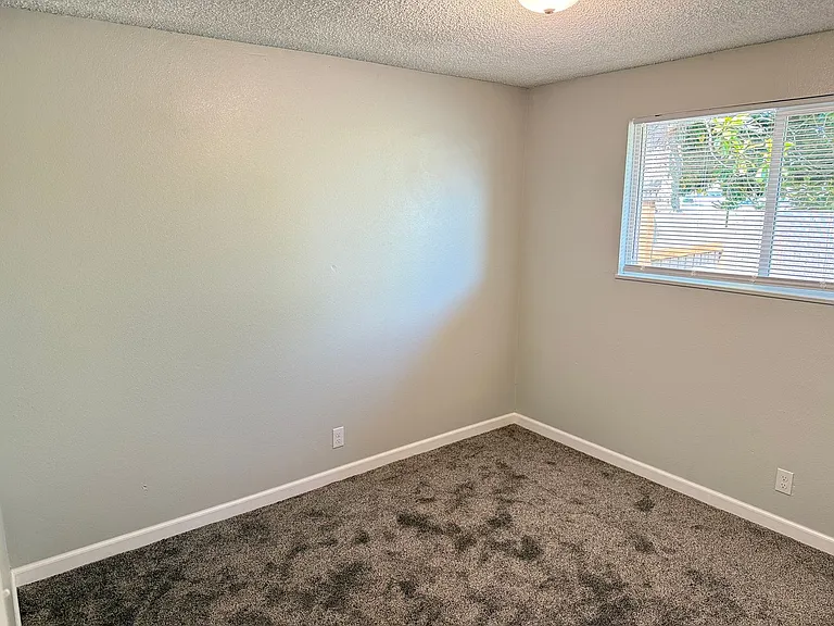 53 Shady Loop — Photo 22