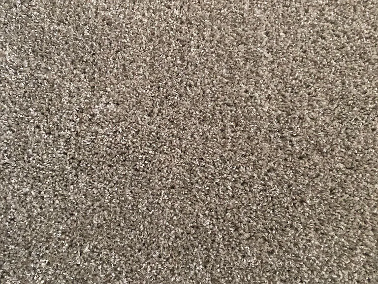 New neutral colored (greige) gray/tan carpet.