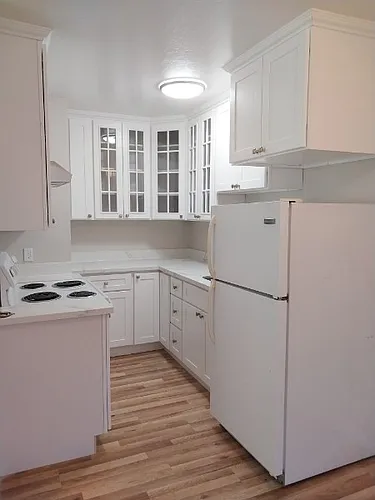 507 Maple St #3 Photo 1