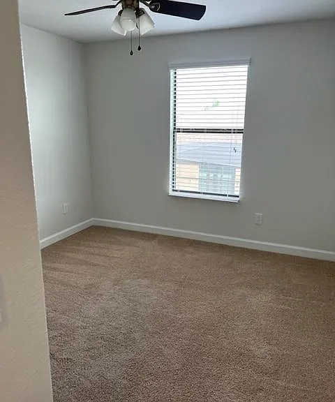 4331 Summer Breeze Way — Photo 31