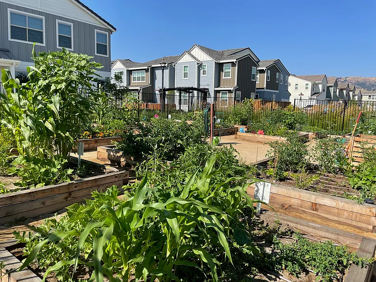 Community Garden