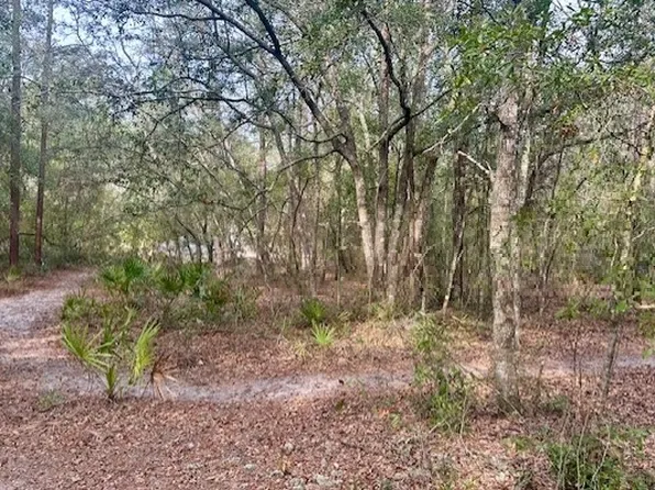 0 NW 11th Ave, Bell, FL 32619