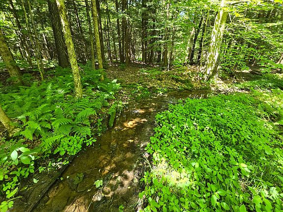 3rd image of 0WP Ridge Rd