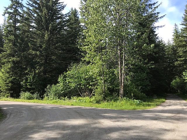 1st image of Nhn Dolly Varden Dr