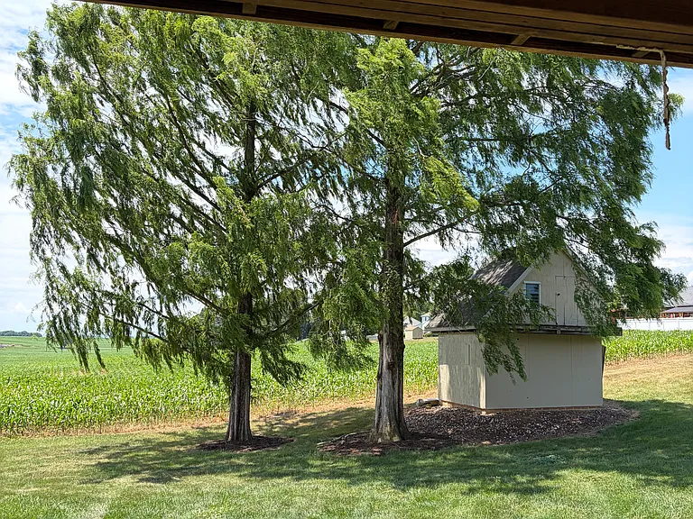 389 Mont Alto Rd #B — Photo 6