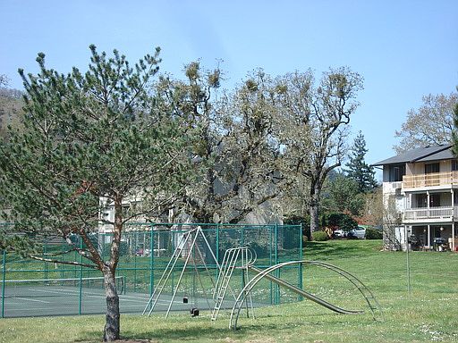 2nd image of 125 Village Dr APT 35