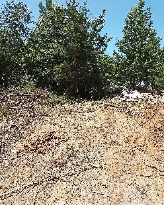 2nd image of 199 Reynolds Rd