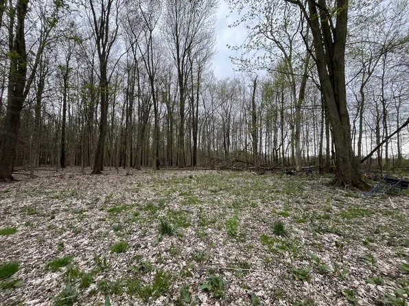 17475 Williamsville St, Cassopolis, MI 49031