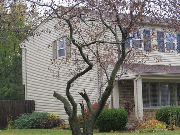 2nd image of 505 Lorraine Ave