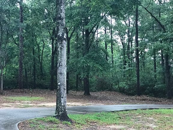 Driveway from front porch