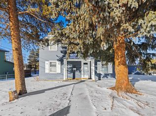 1608 Mount Massive Drive, Leadville, CO 80461