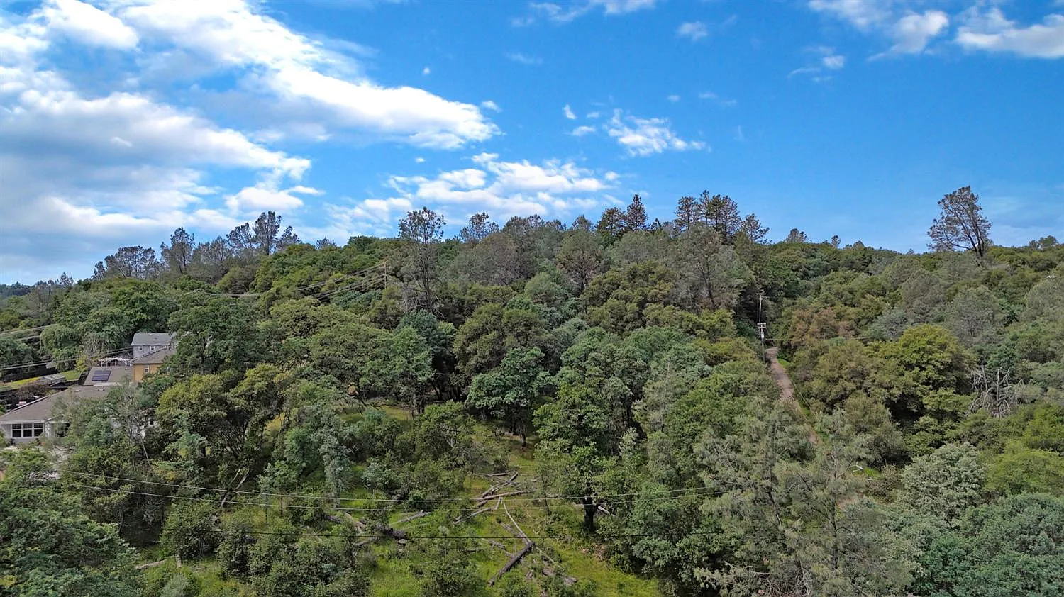10599 Linton Ln photo 1