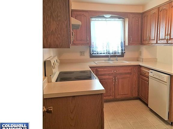 Abundant Oak Cabinets