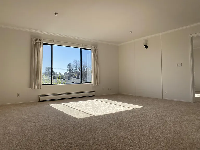 1117 Laguna Ave #5 — Photo 10