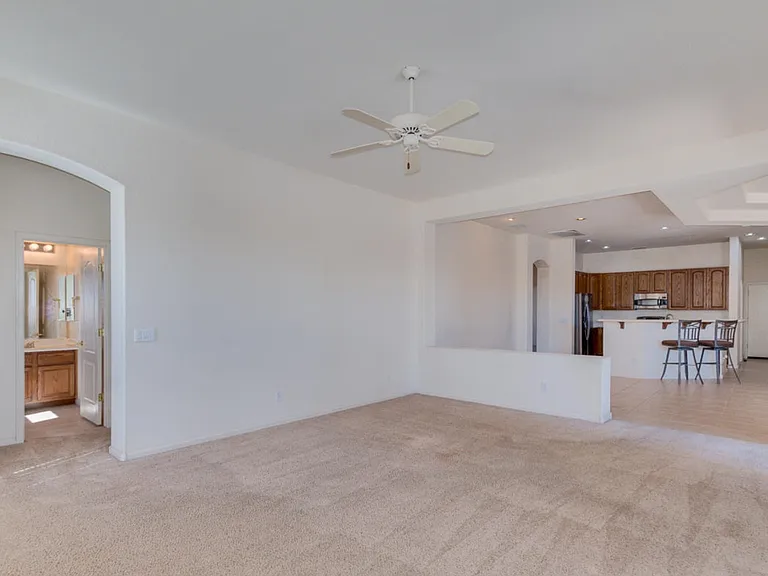 269 W Kingbird Dr — Photo 8
