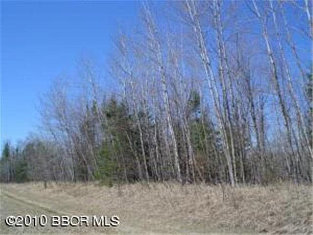 2nd image of Turtle River Lake Road