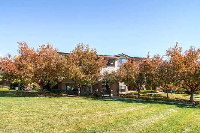 Miramont Apartments — Photo 52
