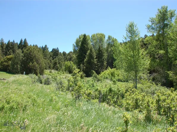 Virginia City Original, Virginia City, MT 59755